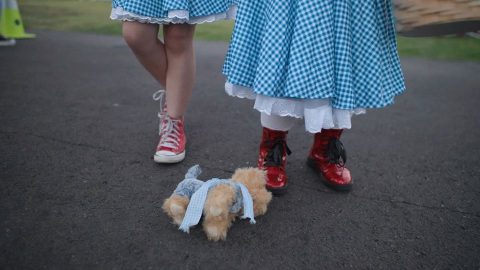 Dorothy-960